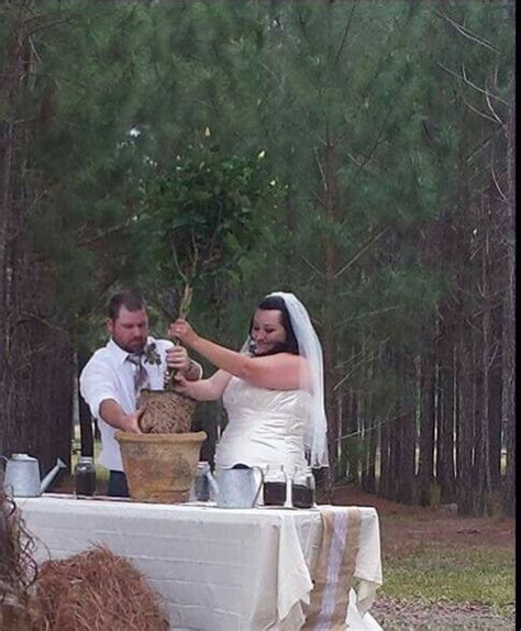 Image result for Unity Tree for Weddings