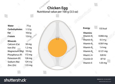 Chicken Egg Nutritional Value Vector Illustration Stock Illustration ...
