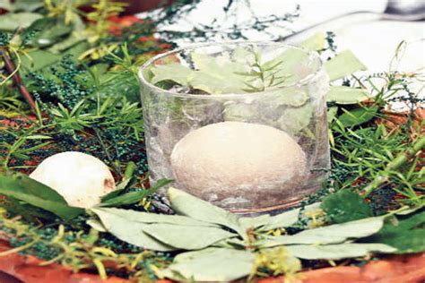 Omakase: Tried Omakase yet? – Food & Recipes