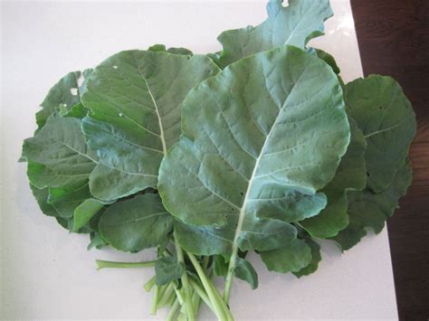 Are Broccoli Leaves Edible