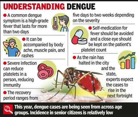 Viral Fever: Dengue, Conjunctivitis Cases Spike | Ahmedabad News ...