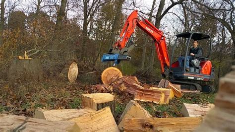 Image result for Small Excavator Logging