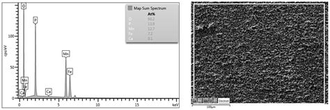 Effect of Surface Pretreatment on Quality and Electrochemical Corrosion ...
