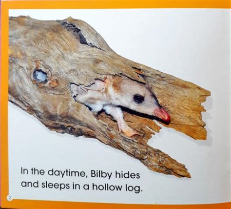 Read Along Stories Bilby's Big Ears – Books and You