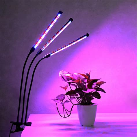 Growing Flowers With Grow Lights at Indiana Margarot blog