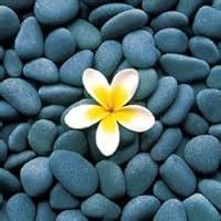 Image result for Decoding and Encoding of Visual Information