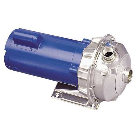 Goulds Water Technology Stainless Steel 2 HP Centrifugal Pump 115/230V ...
