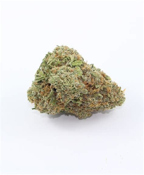 Image result for Alien OG Facts