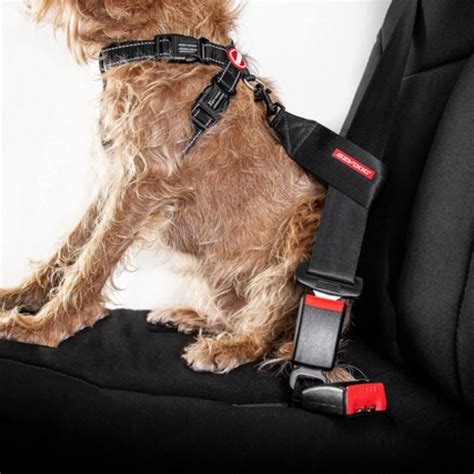 Ezydog | Dog Seatbelt Car Restraint | Dog Travel Safety