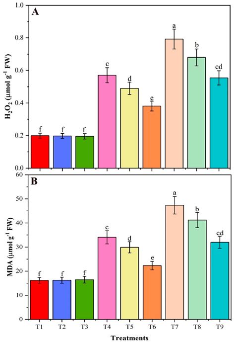 Chitosan Modified Biochar Increases Soybean (Glycine max L.) Resistance ...