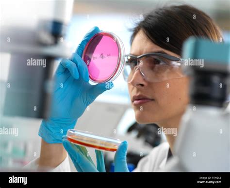 Image result for How to Clean O2 Sensor