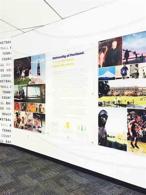 Environment Graphics 的图像结果