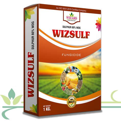 Wizsulf - Bringing Growth Together