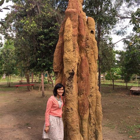 WASUR NATIONAL PARK (2026) All You Need to Know BEFORE You Go (with ...