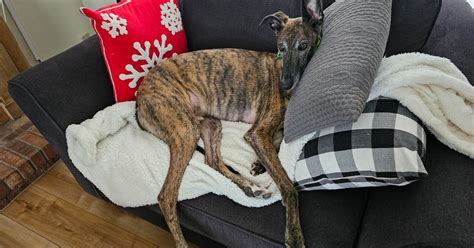 Samsung S23 Ultra Camera 的图像结果