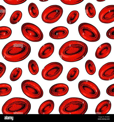 How To Draw Blood Cells