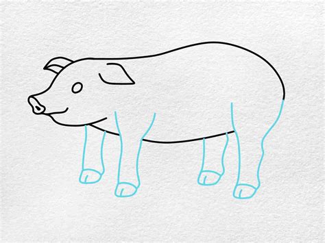 How To Draw A Simple Pig