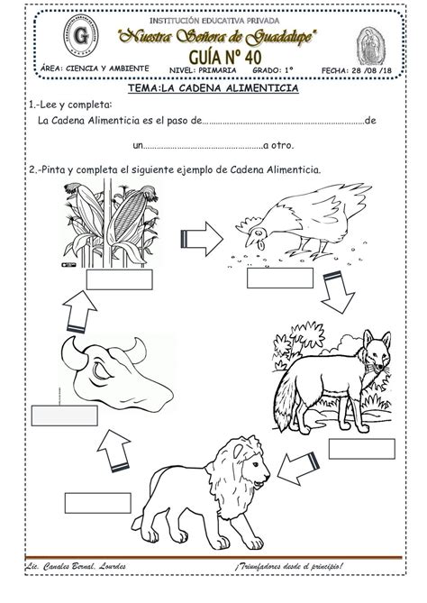 La Cadena Alimenticia(40) | Texto instructivo para niños, Enseñanza de ...