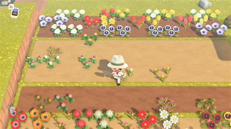 Animal Crossing: New Horizons Flower Breeding guide: Everything you need to know