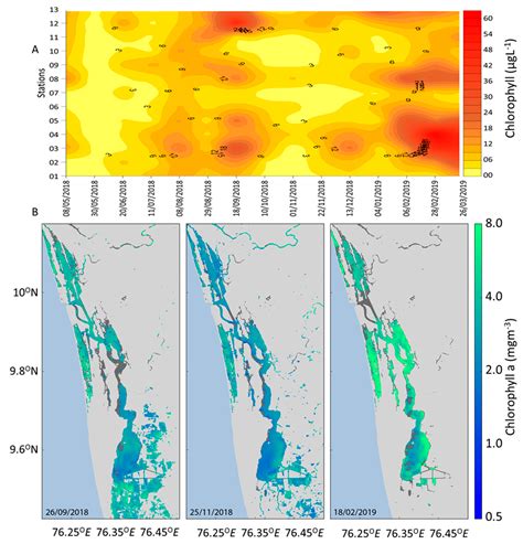 Dynamics of Vibrio cholerae in a Typical Tropical Lake and Estuarine ...