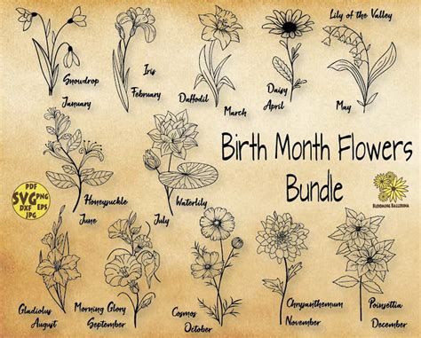 Birth Month Flowers Svg Bundle, Birth Month Flower, Flower Svg, Floral ...
