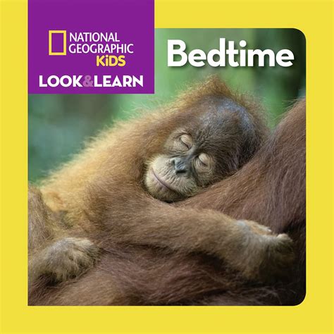 National Geographic Kids Look & Learn: Bedtime : Musgrave, Ruth A ...