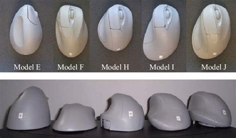 Image result for Mouse Model Reference