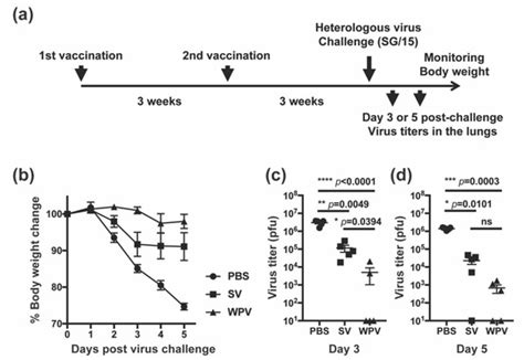 Inactivated Whole Virus Particle Influenza Vaccine Induces Anti ...