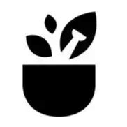 Salt Vault, GURGAON - Order Online