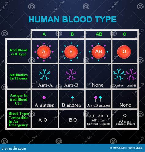 Human blood type or Blood stock photo. Image of antibodies - 240935408