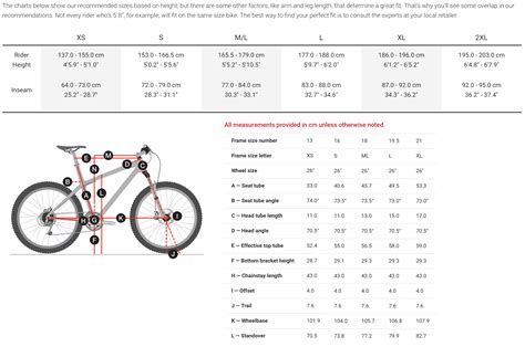 Trek bike sizing online