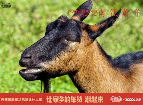 南江黄羊养殖技术，南江黄羊在清晨和黄昏采食量大 - 农敢网