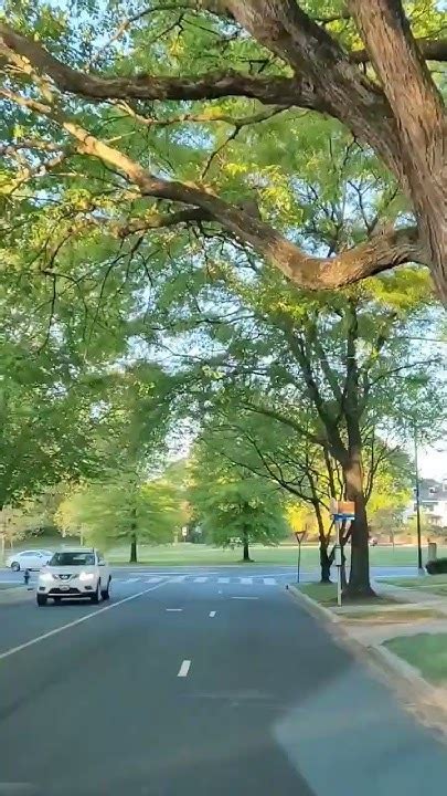 Spring, Morning Commute to work, Bethesda, Maryland - YouTube