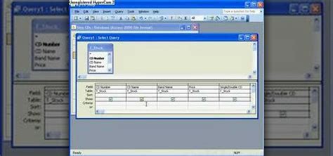 Parameter Query Microsoft Access 的图像结果