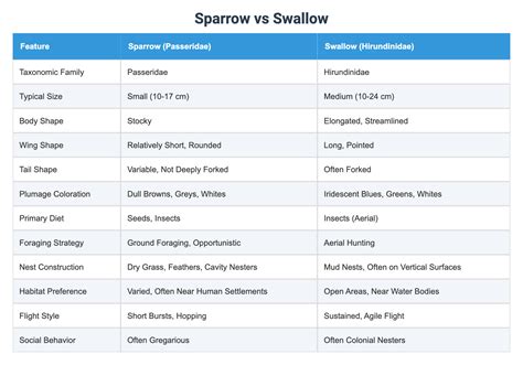 Sparrow vs Swallow