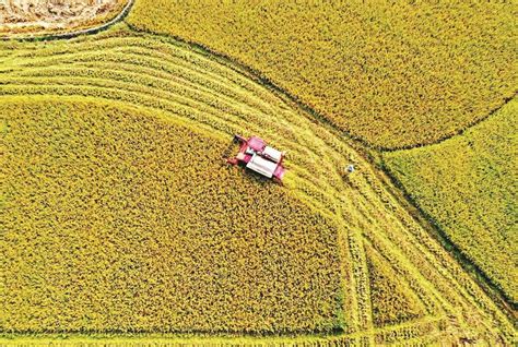 保护耕地 的图像结果