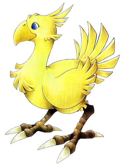 Chocobo (Final Fantasy VII) - The Final Fantasy Wiki - 10 years of ...