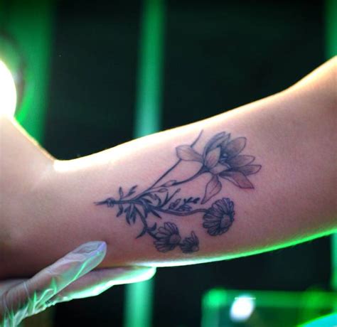 Tattoo Numbing Cream | Hush Anesthetic