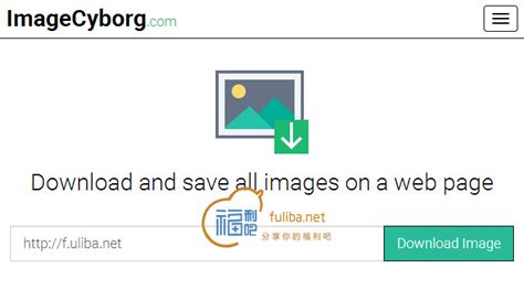 在线工具：一键打包下载网页图片/影音文件-福利吧
