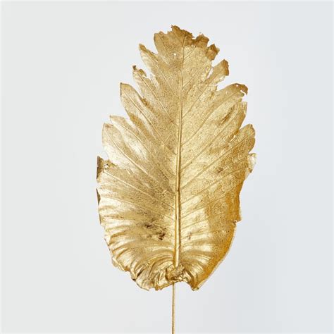 Buy Eternity Dried Artificial Flowers from Corsica by Home Centre at ...