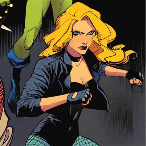 dinah lance aka black canary icon. | Black canary, Dinah laurel lance ...