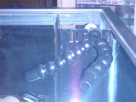 Image result for Reef Overflow Box