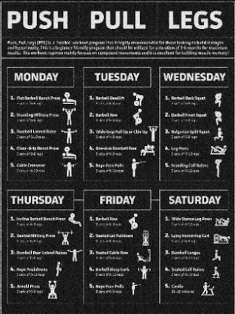 Gym Workout 的图像结果