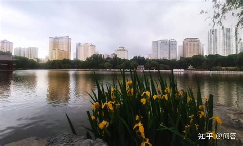 西宁湟水河湿地公园,其他摄影,摄影素材,摄影,汇图网www.huitu.com