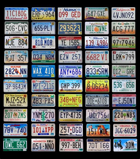 What Are The License Plate Types at Kevin Davidson blog