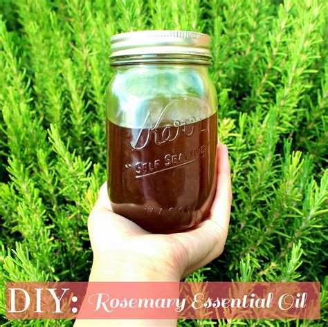 Image result for Essential Oil Tutorial