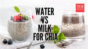 Chia seeds in water vs chia seeds in milk: Which is more beneficial for ...