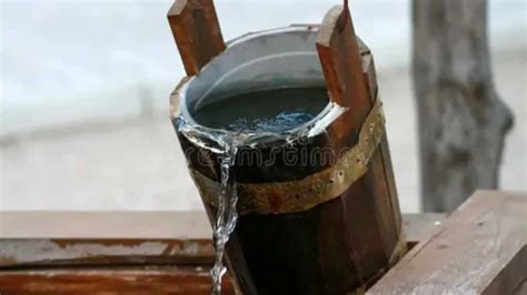 What Type Of Water Is Best For Your Plants? RO, Banana Peel, And More