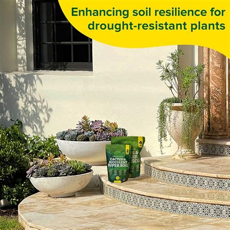 $4/mo - Finance Cactus Soil Potting Mix Succulent Soil Potting Mix ...