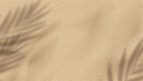 Sand Texture Vector 的图像结果